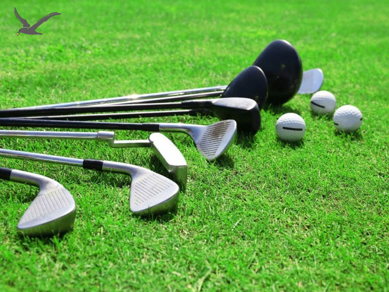 Paano Pumili ng Mga Tamang Set ng Golf Club para sa Iyong Mga Consumer