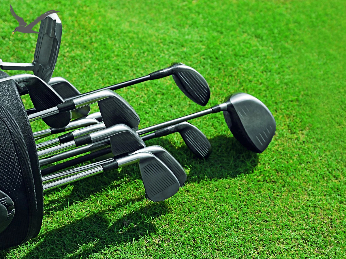 Tungkol sa mga degree sa golf club