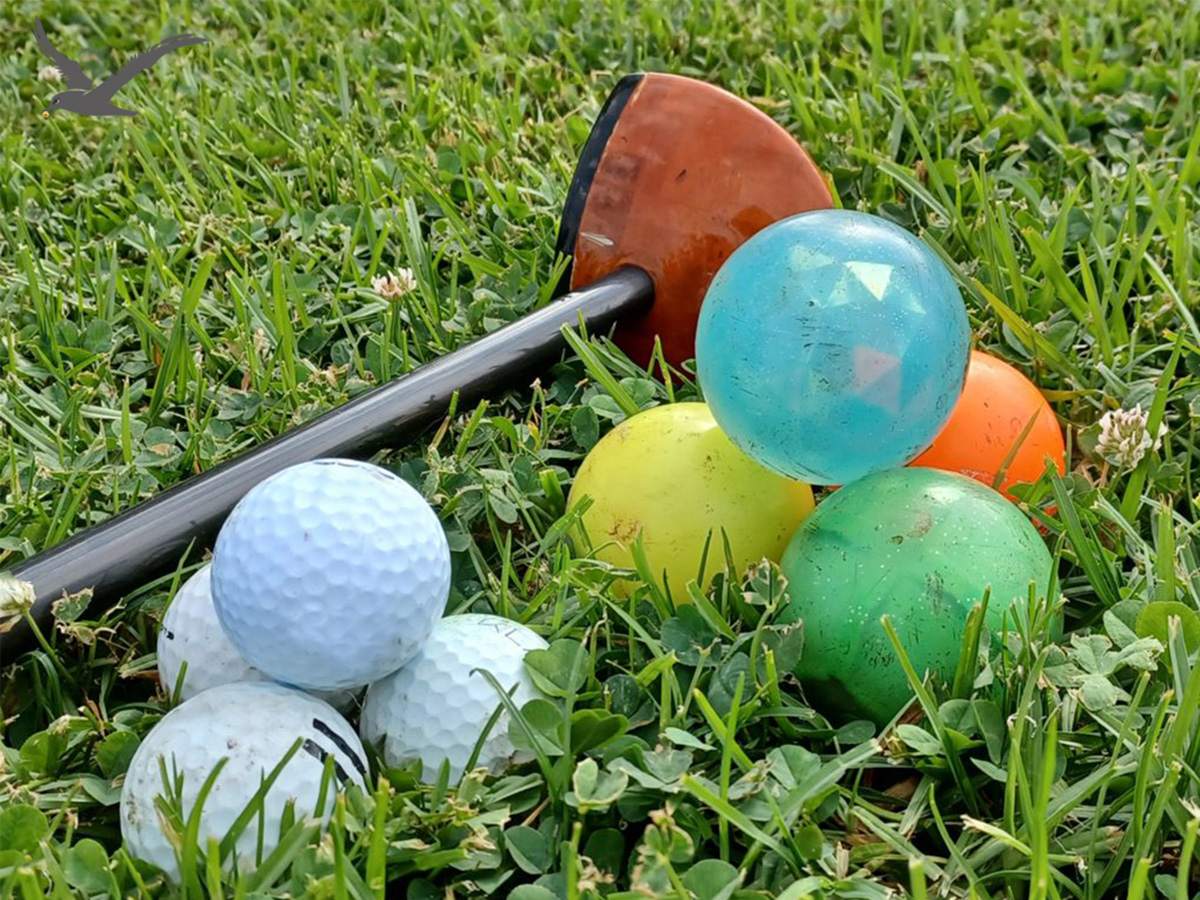 Pagkakaiba -iba ng mga bola ng golf golf
